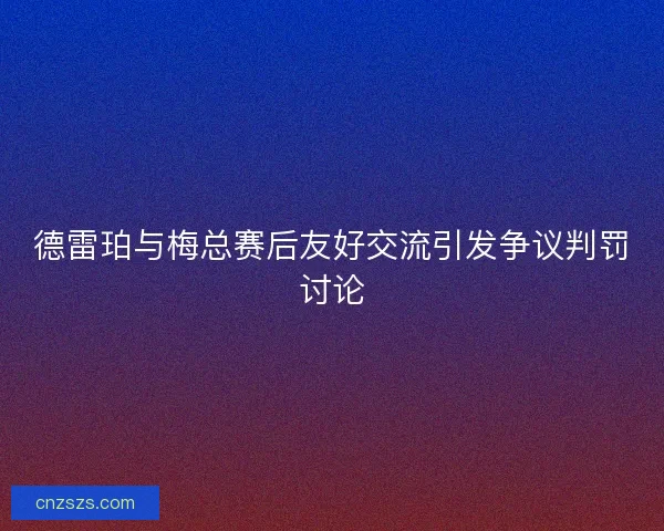 德雷珀与梅总赛后友好交流引发争议判罚讨论