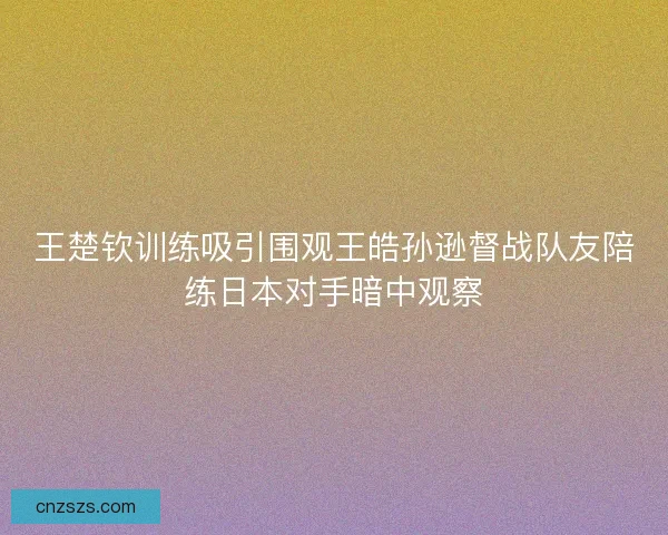 王楚钦训练吸引围观王皓孙逊督战队友陪练日本对手暗中观察