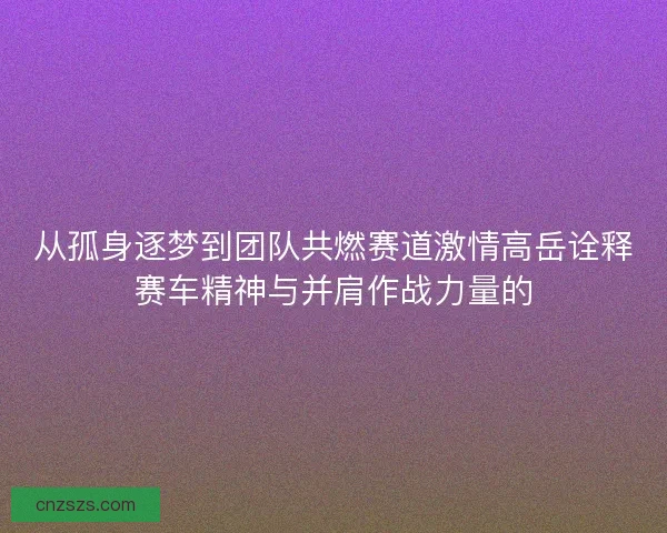 从孤身逐梦到团队共燃赛道激情高岳诠释赛车精神与并肩作战力量的